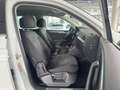 Volkswagen Tiguan High 4Mo 2.0 TDI DSG R-LINE NAVI ACC AHK Weiß - thumbnail 13