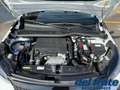 Peugeot 2008 II 1.2 PureTech 100Cv S&S Allure Pack Blanc - thumbnail 16