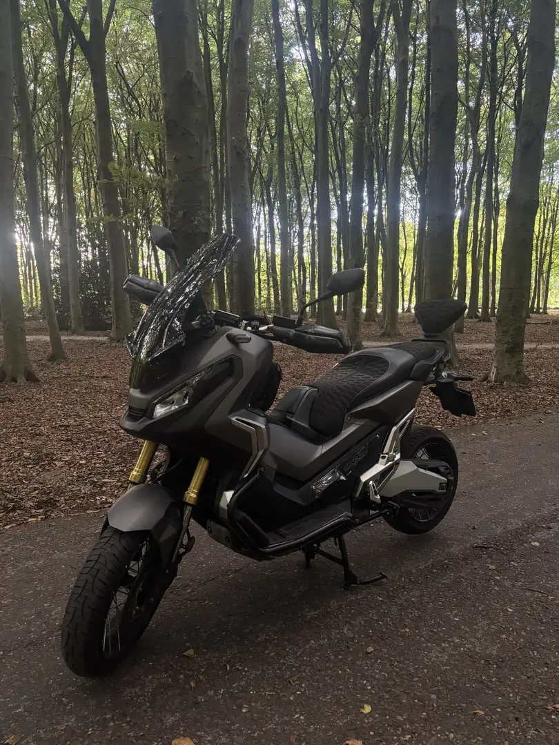 Honda X-ADV Grijs - 1