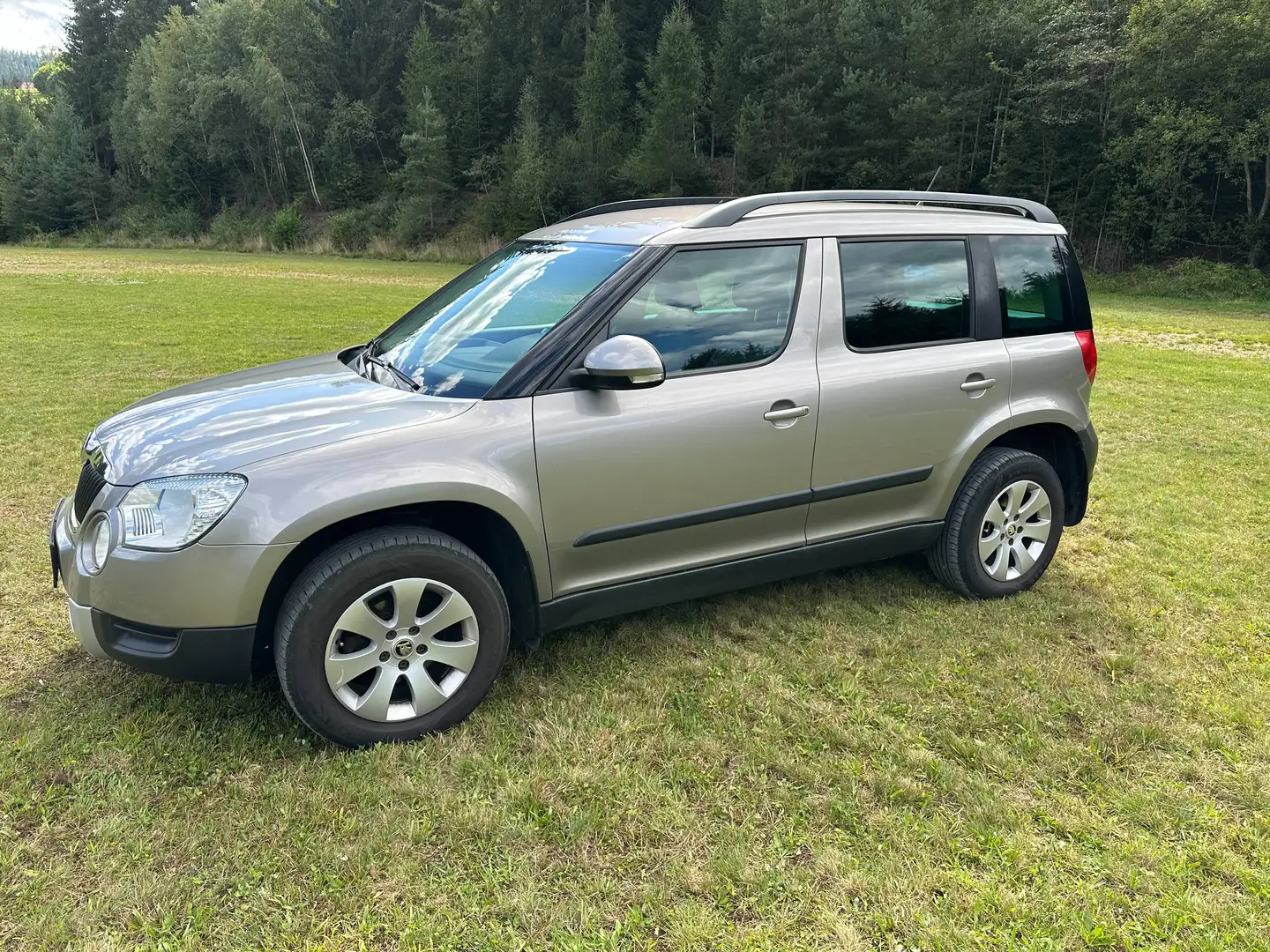 Skoda Yeti Yeti 4x4 Twenty Active 2,0 TDI CR DPF Twenty Active Grau - 2