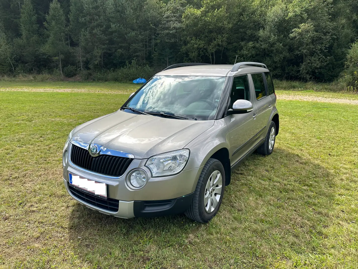 Skoda Yeti Yeti 4x4 Twenty Active 2,0 TDI CR DPF Twenty Active Grau - 1