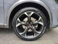 CUPRA Formentor 1.5 TSI 150 PS DSG ACT Grau - thumbnail 16