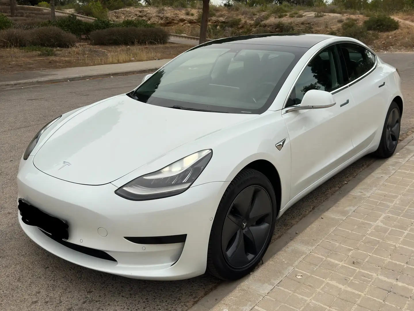 Tesla Model 3 Model 3 Standard RWD Plus Blanco - 1