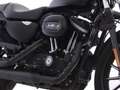 Harley-Davidson Sportster XL 883 XL883N / XL883 N IRON Negro - thumbnail 6