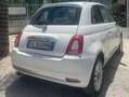 Fiat 500 500  2015 1.2 Riva 69cv Wit - thumbnail 8