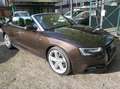 Audi A5 Cabrio 3.0 TDI S-Line19Zoll Xenon Leder interfacee Braun - thumbnail 4