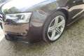 Audi A5 Cabrio 3.0 TDI S-Line 19Zoll Xenon Leder interface Kahverengi - thumbnail 9