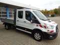 Ford Transit Pritsche 350 L3 DK 4x4/7Sitze/Standheiz. Blanc - thumbnail 6