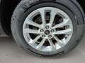 Ford Kuga Titanium Hybrid Titanium Grau - thumbnail 11