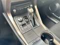 Lexus NX 300 300h AWD Executive/Vollleder/Line Assist Albastru - thumbnail 14