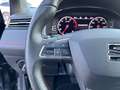 SEAT Ibiza 1,0 TSI FR DSG Gris - thumbnail 37