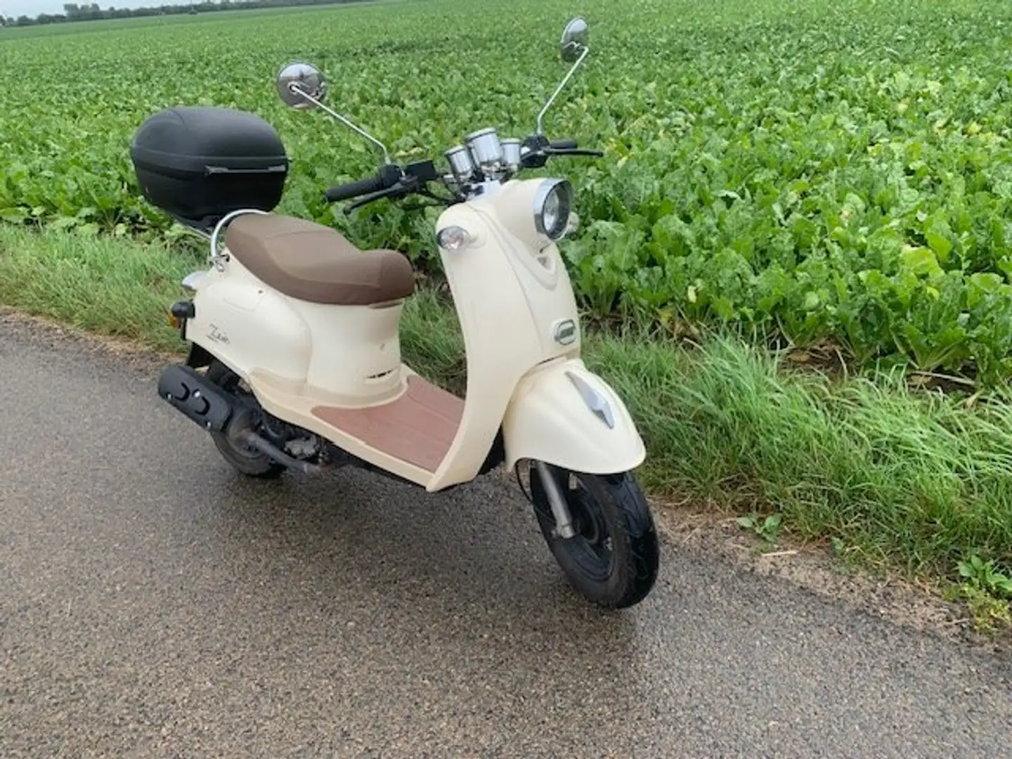 Zhejiang Zoé Bej - 2