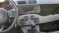Fiat Panda HYBRID CITYLIFE 1.0cc 70cv Grigio - thumbnail 8