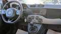 Fiat Panda HYBRID CITYLIFE 1.0cc 70cv Grigio - thumbnail 7
