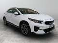 Kia XCeed 1.0 T-GDi Style Bianco - thumbnail 1