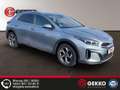 Kia XCeed SUV +APP+KAMERA+SZH+DAB+ACC+Regensensor+Metallic Grau - thumbnail 16