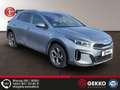 Kia XCeed SUV +APP+KAMERA+SZH+DAB+ACC+Regensensor+Metallic Grau - thumbnail 17