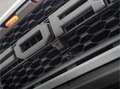 Ford F 150 Ford F-150 Raptor 3.5L EcoBoost V6 SuperCrew (grij Grijs - thumbnail 11