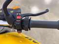 Ducati Monster 900 GIALLO Giallo - thumbnail 13