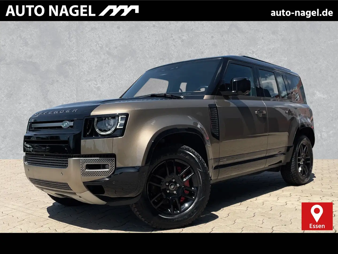 Land Rover Defender Defender 110 D300 X 19" AHK Winter-Pa. AT-Reifen Grau - 1