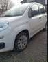 Fiat Panda 1.2 Easy 69cv - thumbnail 7