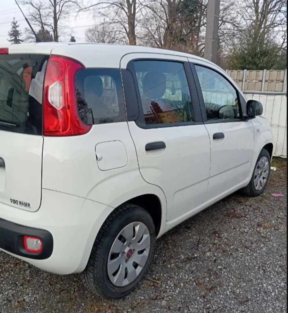 Fiat Panda 1.2 Easy 69cv - 1