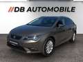 SEAT Leon Kombi Style TSI, Tempomat Brun - thumbnail 1