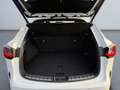 Lexus E-FOUR F SPORT-Paket *20''*HUD*Leder*360* Blanc - thumbnail 18