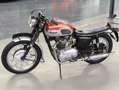 Triumph Bonneville T120 Rood - thumbnail 13
