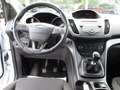 Ford Kuga Trend/ Winterpaket / Klima / PDC Weiß - thumbnail 6