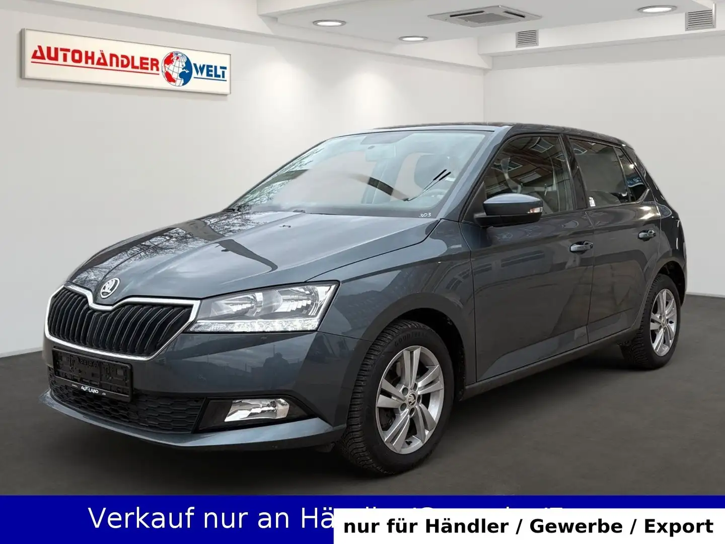 Skoda Fabia 1.0 TSI Automatik Klimaanlage SHZ PDC AHK Grau - 1