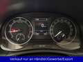 Skoda Fabia 1.0 TSI Automatik Klimaanlage SHZ PDC AHK Grau - thumbnail 10