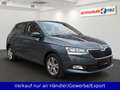 Skoda Fabia 1.0 TSI Automatik Klimaanlage SHZ PDC AHK Grau - thumbnail 3