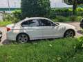 BMW 316 316d 2.0 116cv Bianco - thumbnail 6