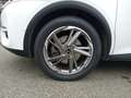 DS Automobiles DS 7 Crossback DS7 Crossback E-Tense Rivoli Volleder*gepflegt White - thumbnail 11