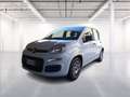 Fiat Panda 1.0 firefly hybrid s&s 70cv Bianco - thumbnail 3