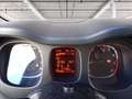 Fiat Panda 1.0 firefly hybrid s&s 70cv Bianco - thumbnail 14