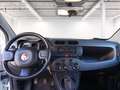 Fiat Panda 1.0 firefly hybrid s&s 70cv Bianco - thumbnail 12
