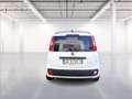 Fiat Panda 1.0 firefly hybrid s&s 70cv Bianco - thumbnail 6