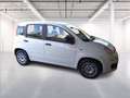 Fiat Panda 1.0 firefly hybrid s&s 70cv Bianco - thumbnail 8