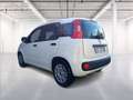 Fiat Panda 1.0 firefly hybrid s&s 70cv Bianco - thumbnail 5