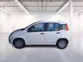 Fiat Panda 1.0 firefly hybrid s&s 70cv Bianco - thumbnail 4
