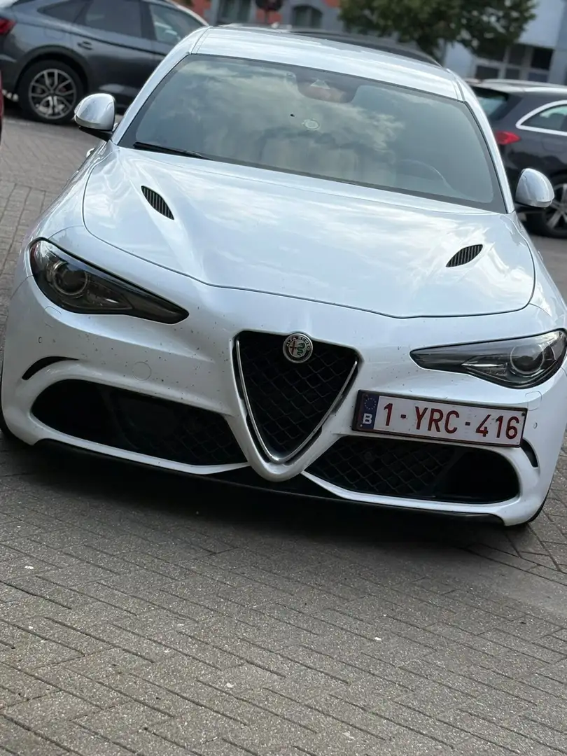 Alfa Romeo Quadrifoglio White - 1