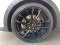 Kia XCeed XCEED 1.6T DCT7 BLACK XDITION XCL Alb - thumbnail 11