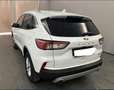 Ford Kuga 2,5 PHEV  Titanium,LED,HUD,IACC,eKlappe Weiß - thumbnail 2