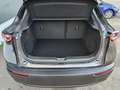 Mazda CX-30 e-Skyactive G140 Nagisa Grau - thumbnail 22