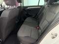 Volkswagen Golf 1,6 BMT TDI DPF 4Motion *XENON*SZH* Weiß - thumbnail 18