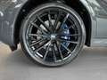 BMW X6 xDrive40d M Sport PANO ACC AHK NAVI Standh. Gris - thumbnail 5