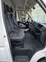 Peugeot Boxer Kasten H2+L1 3.Stz WÜRTH-REGAL Klima 1.HA Blanc - thumbnail 14