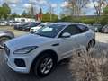 Jaguar E-Pace E-PACE R-Dynamic S AWD = Automatik - Ahk Weiß - thumbnail 5